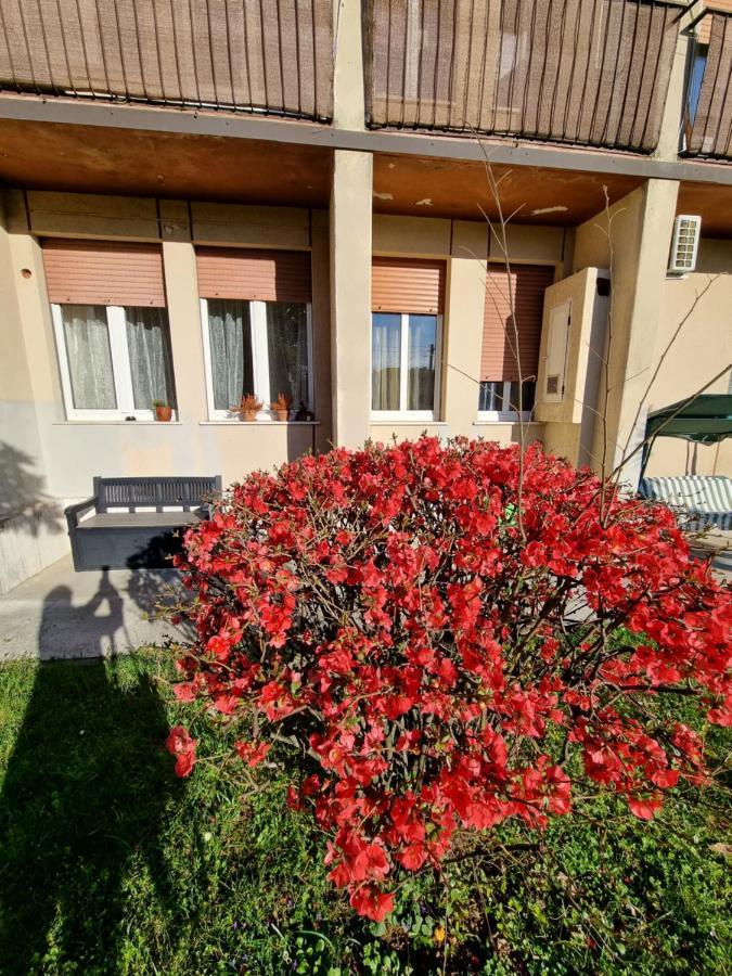Alloggio Silva Gorizia Exterior foto